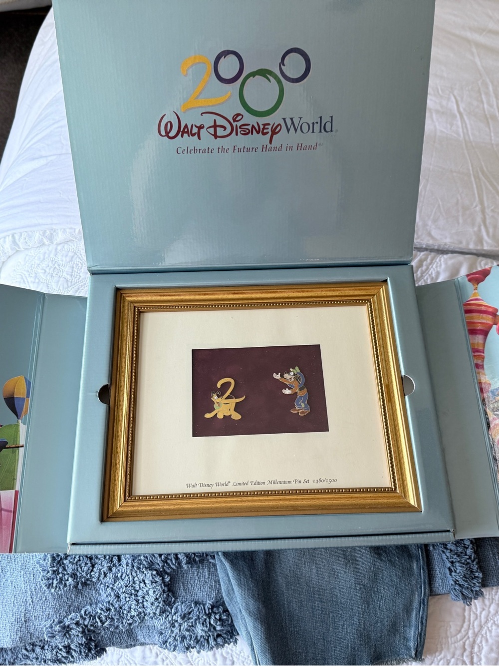 Disney Walt Disney World 2000 Light Blue Gold Framed Collectible